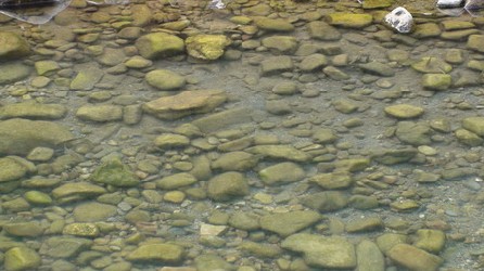 Detalle de agua en Arnedillo