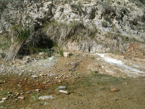 Fuente Aguas podridas