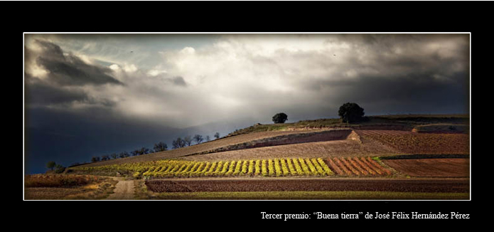Tercer premio de la tercera edición del concurso fotográfico Sotos de Alfaro