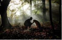 Autor: Pepe Hernández Obra: "De setas con Sua"