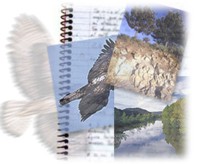 Artículos medio ambiente