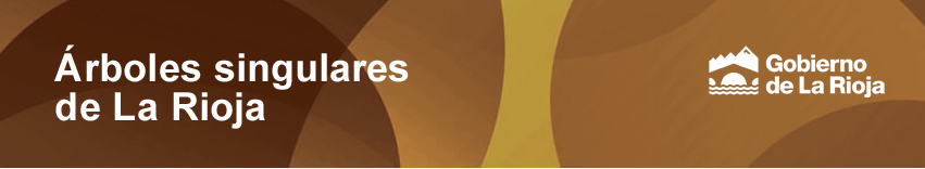 cabecera1arbSing_revisada2 copia