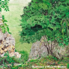 Dibujo Loro o Laurel de Portugal