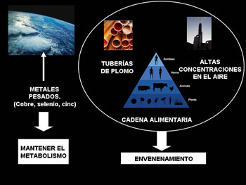 y metales - Medio ambiente - Portal del Gobierno de La Rioja