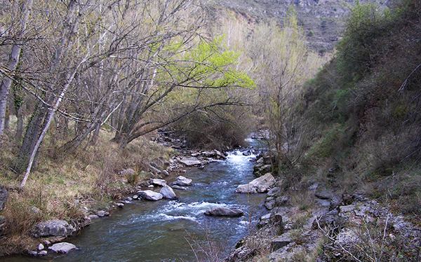 rio cidacos