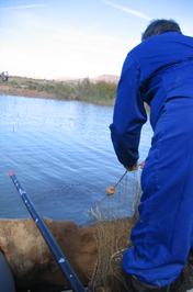 pesca desde embarcación