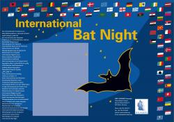 international bat day