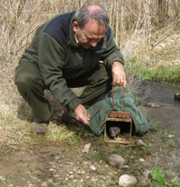 proyecto life visón spain