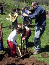 escolares plantando árboles en Piqueras