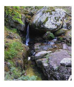 Paisaje en Sierra Cebollera