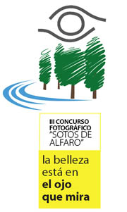 logotipo concurso de foto Sotos de Alfaro
