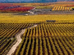 caminos premio residentes