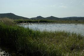 La Degollada (Calahorra)