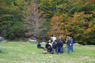 investigación de incendios
