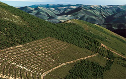 pistas forestales La Rioja