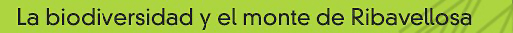 La Biodiversidad y el Monte de Ribavellosa