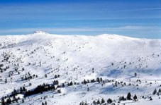 nevado en Cebollera
