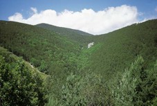 Paisaje del Parque Natural Sierra de Cebollera