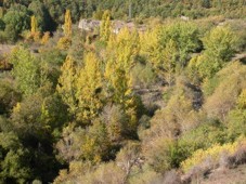 Ribera Lumbreras, Sierra de Cebollera