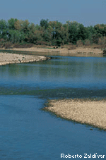 Cauce del río Ebro en Alfaro