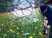 ruido al perforar el suelo versus medio ambiente