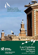 Portada del folleto las cigüeñas de la Colegiata en San Miguel de Alfaro