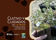 Portada Cultivo y cuidados de la Trufa