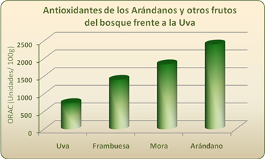 gráfico propiedades antioxidantes de los frutos del bosque