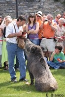 echibición recogida de trufa