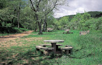 Área recreativa San Antolino