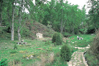 Área recreativa Barranco de Las Ruedas