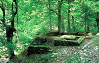 Área recreativa Prado Tajo