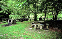 Área recreativa Fuente El Rajao