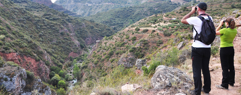 turismo_ornitologico4