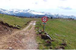 señal_pistaUsorestringidoVehiculos