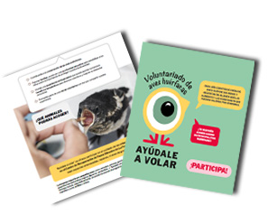 portada_folleto_cartel copia