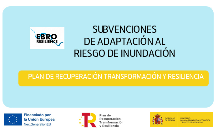 boton interno_subvencionV2 copia