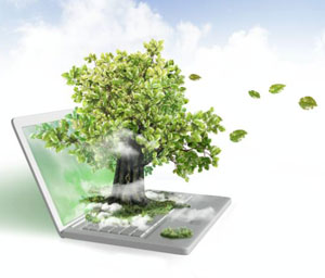 conmvocatorias ambientales