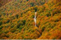 Título: "Camino a la Demanda"