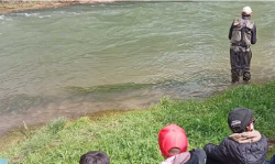 CotoIntensivoanguciana