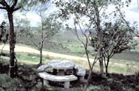 Área recreativa Fuente Piojo