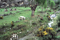 Área recreativa Poyales Navalsaz