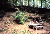 Área recreativa Fuente la Teja