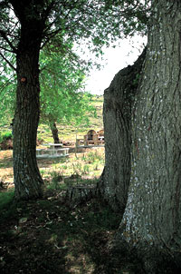 Área recreativa Fuente Nueva
