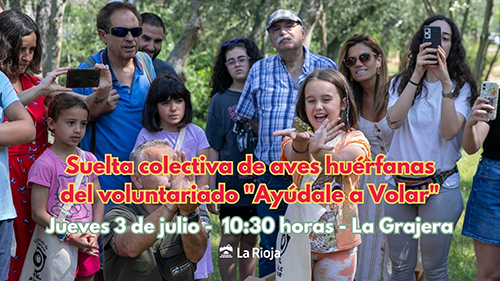 imagen suelta 3 de julio_peq