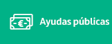 ayudas-publicas