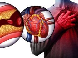 f.elconfidencial.com_original_395_1d1_1f8_3951d11f849f2f49b4d150757a92806d