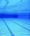swimming-pool-504780_1920