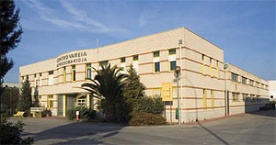 Centro Ocupacional Vareia portada