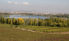 Camino de Santiago en La Grajera. Este enlace se abrirá en una ventana nueva